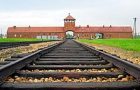 Dan spomina na žrtve holokavsta / Nemzetközi holokauszt emléknap